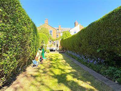 Picture 19